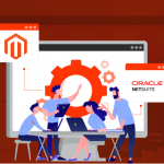How the Netsuite Magento Connector Can Help Streamline Your ECommerce Business