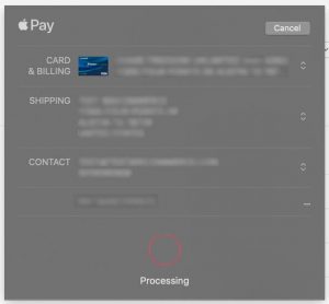 Apple Pay Checkout Window