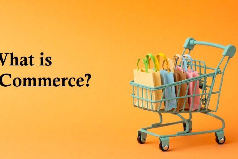 What is eCommerce