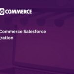 WooCommerce Salesforce Integration