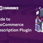 WooCommerce Subscription Plugin