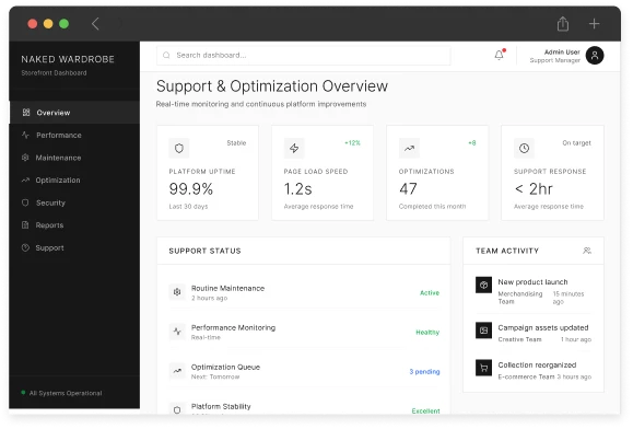Ongoing Support and Optimization