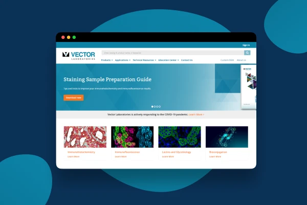 Vector Labs