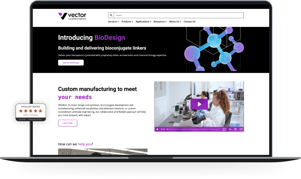 vector-labs-overview